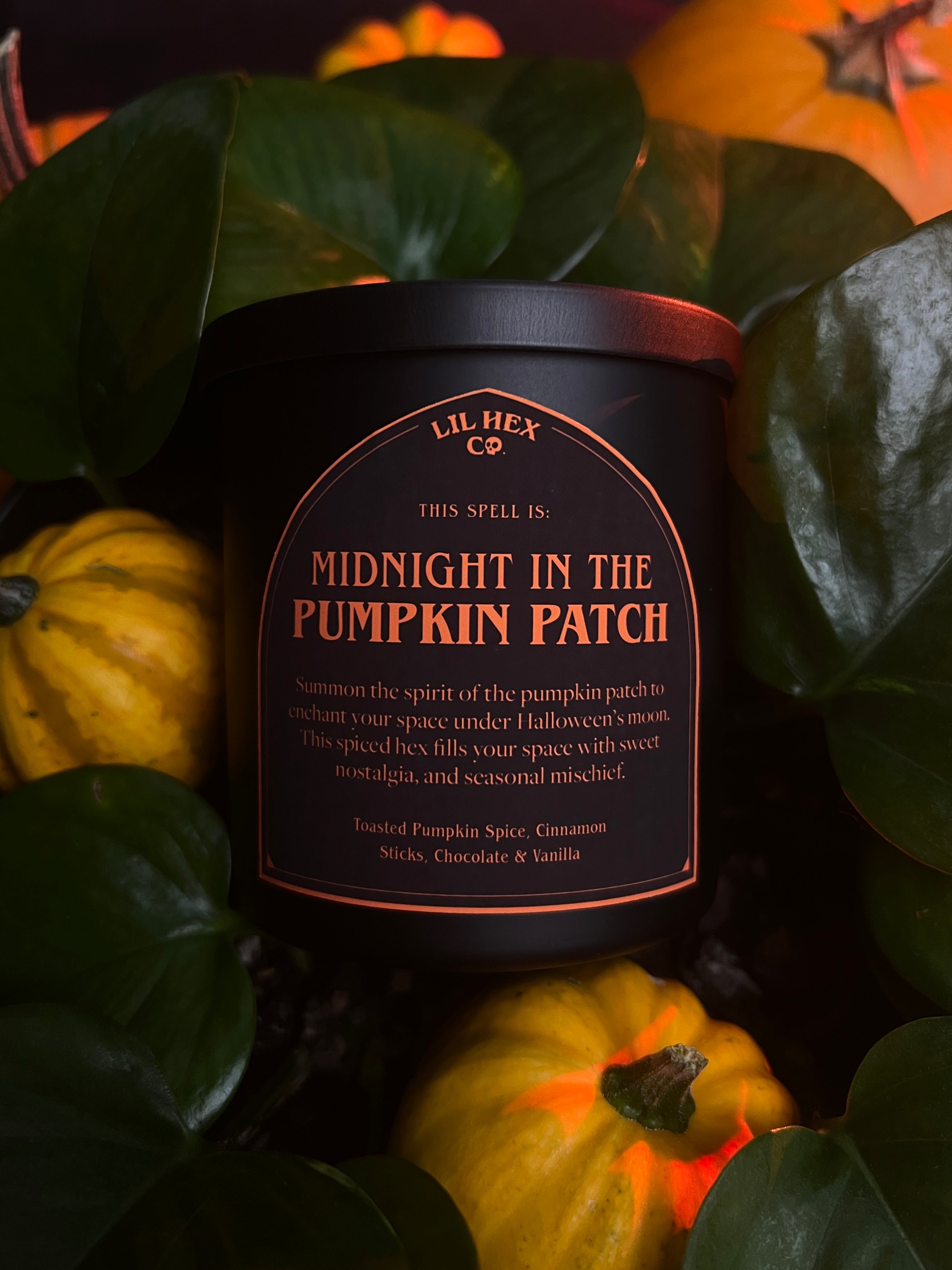 Midnight In The Pumpkin Patch