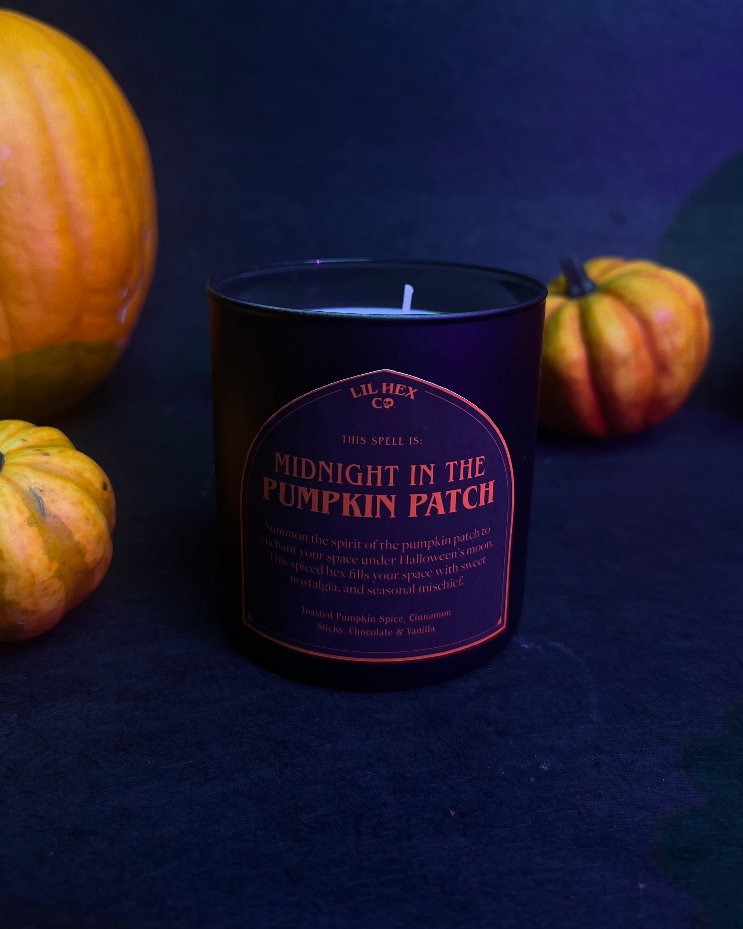 Midnight In The Pumpkin Patch